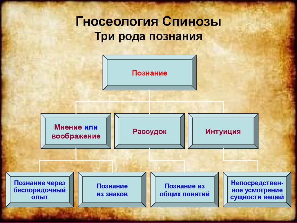 Рационализм в гносеологии нового времени