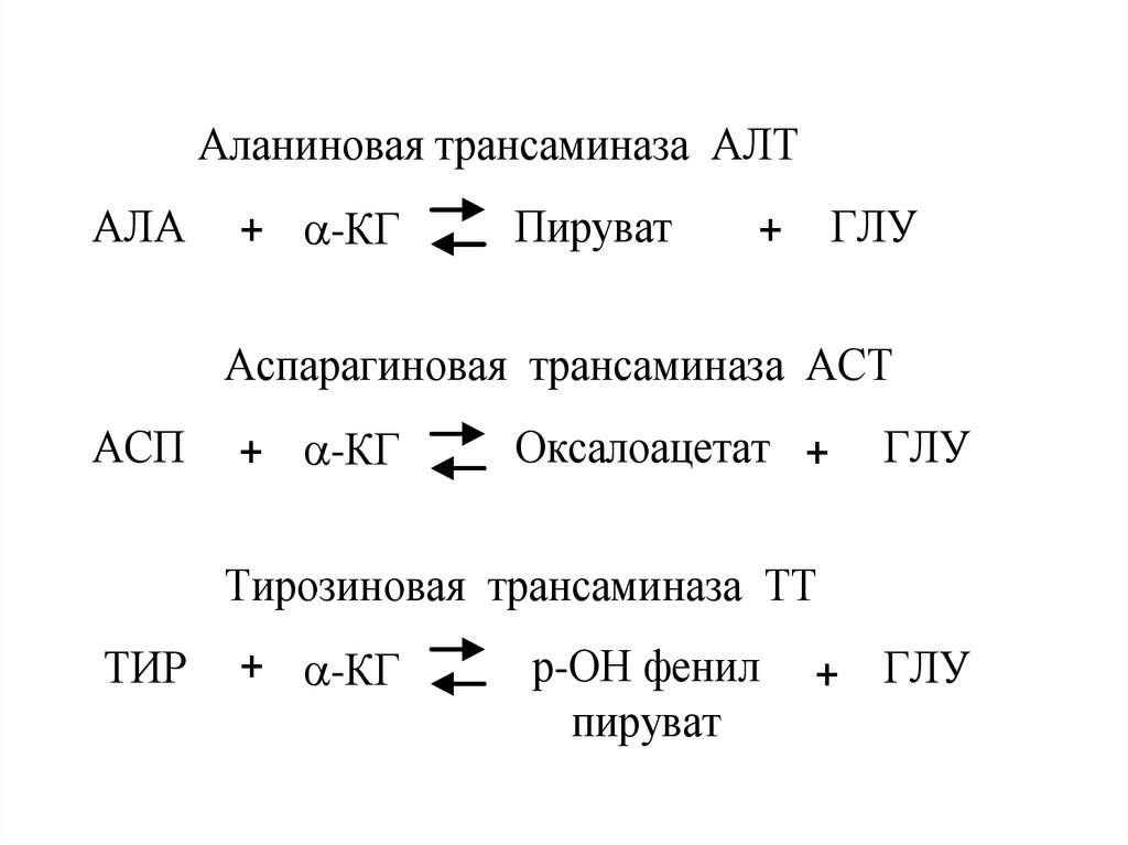 Аланин трансаминаза. Пируват трансаминаза. Аспарагиновая трансаминаза. Трансаминаза алт. Аланин трансаминаза реакции.