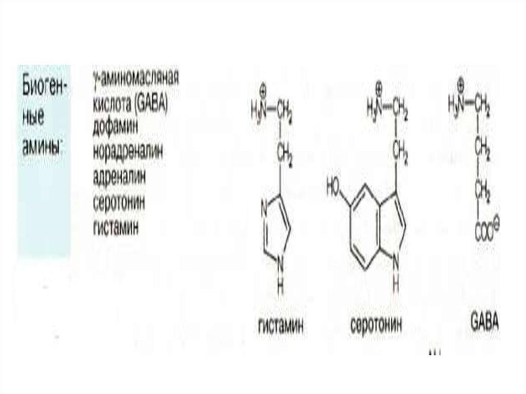 Аминокислоты 2 вариант. Z-форма белка 2fe2s.