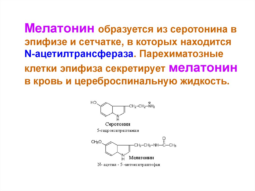 Функции серотонина. Мелатонин гормон формула. Мелатонин аминокислота. Мелатонин образуется из. Мелатонин Синтез.