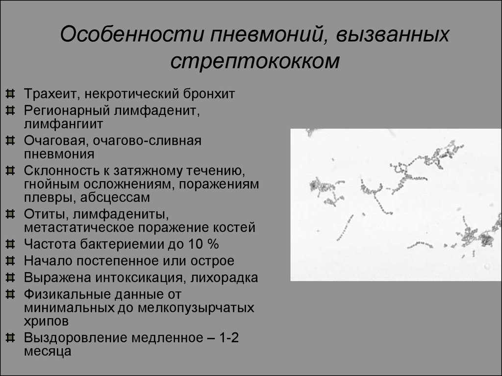 Стрептококк лечение. Стрептококковая пневмония характеристика. Особенности стрептококковой пневмонии. Стрептококк пневмония клиника. Стрептококк пневмония вызывает.