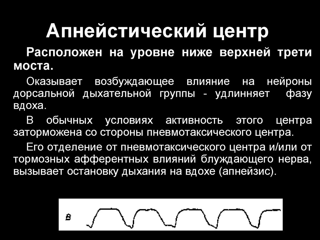 Апнейстическое дыхание рисунок