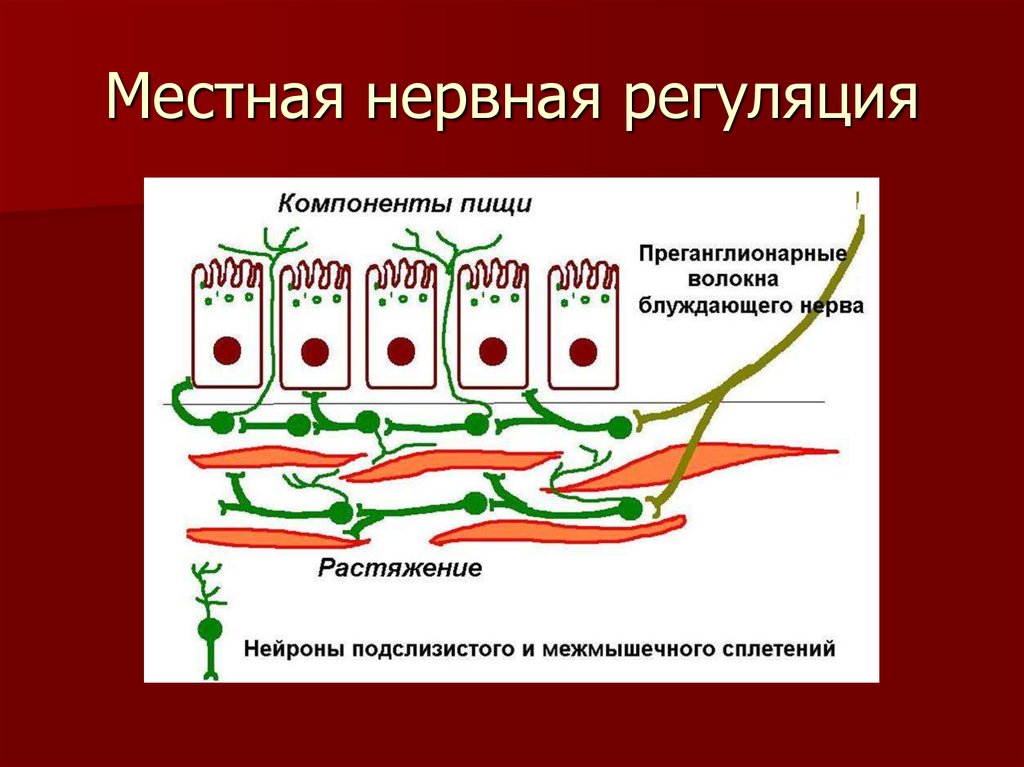 Пристеночный компонент