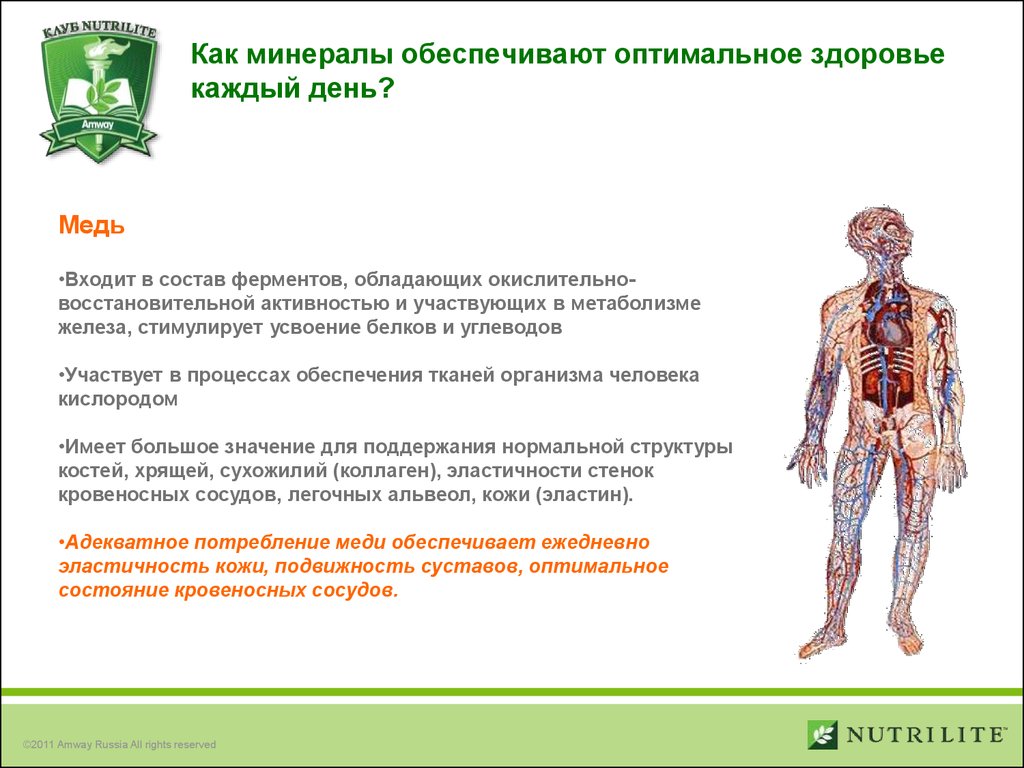 Восемь краеугольных камней оптимального здоровья презентация