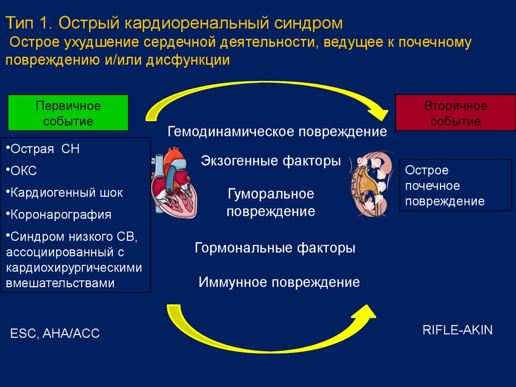 Виды синдромов. Механизм формирования кардиоренального синдрома схема. Кардиоренальный синдром 3 типа. Острый кардиоренальный синдром i типа.. Кардиоренальный синдром при ХСН.