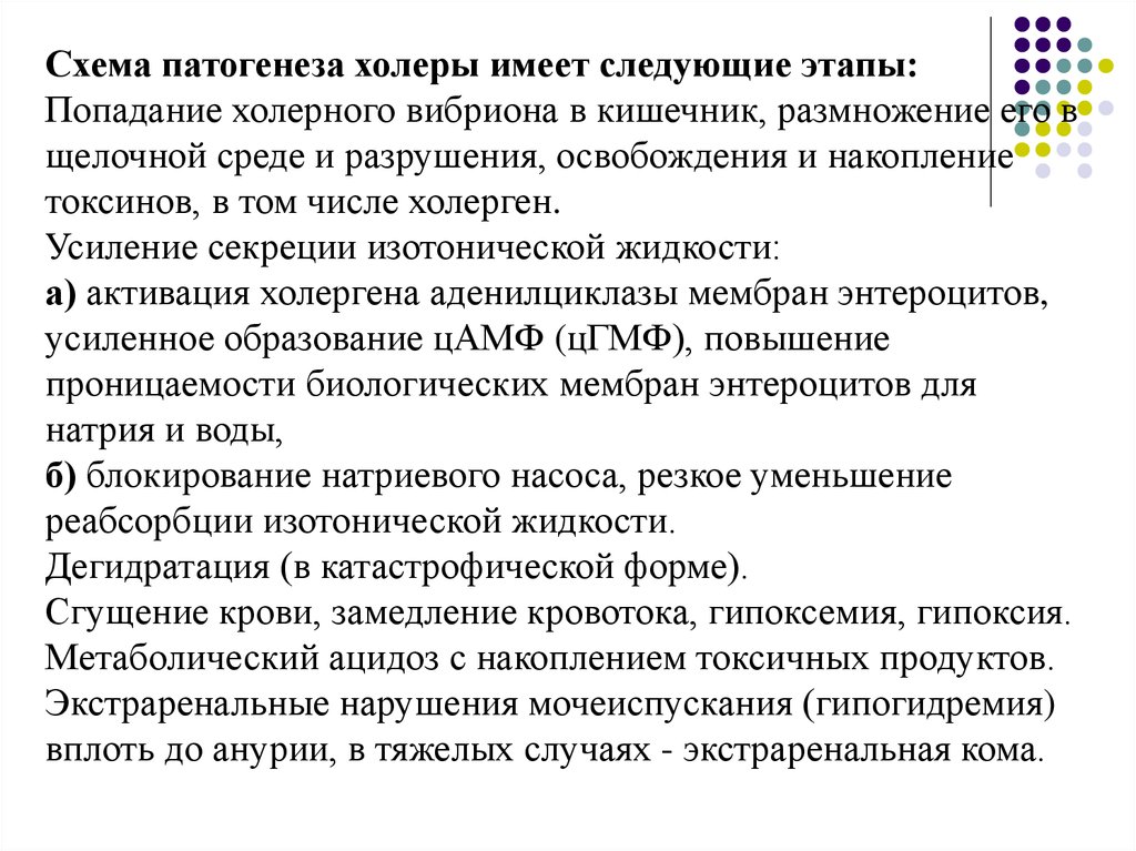 Холера постановление главного. Патогенез холеры схема. Механизм развития холеры. Патогенез холерного вибриона. Холера Vibrio cholerae этиология.