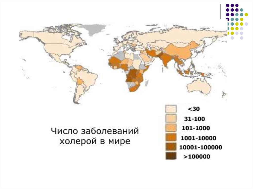 Холера презентация для медиков