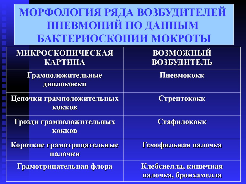 Возбудитель пневмонии. Возбудители пневмонии. Возможные возбудители пневмонии. Очаговая пневмония морфология.