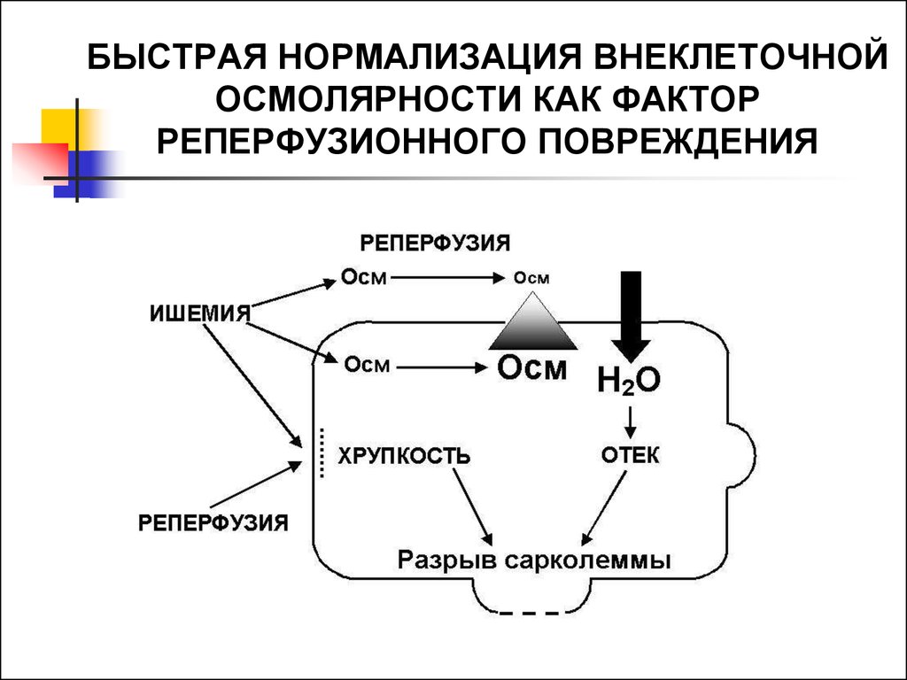 Ишемия презентация патофизиология