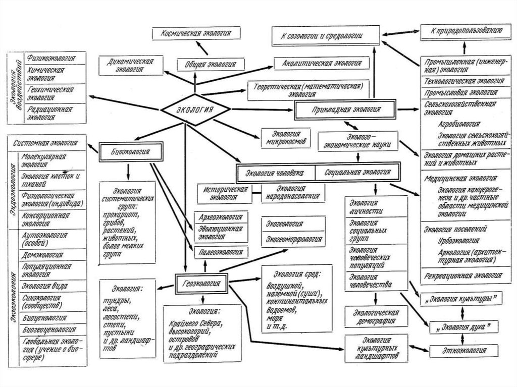 geoinformatics