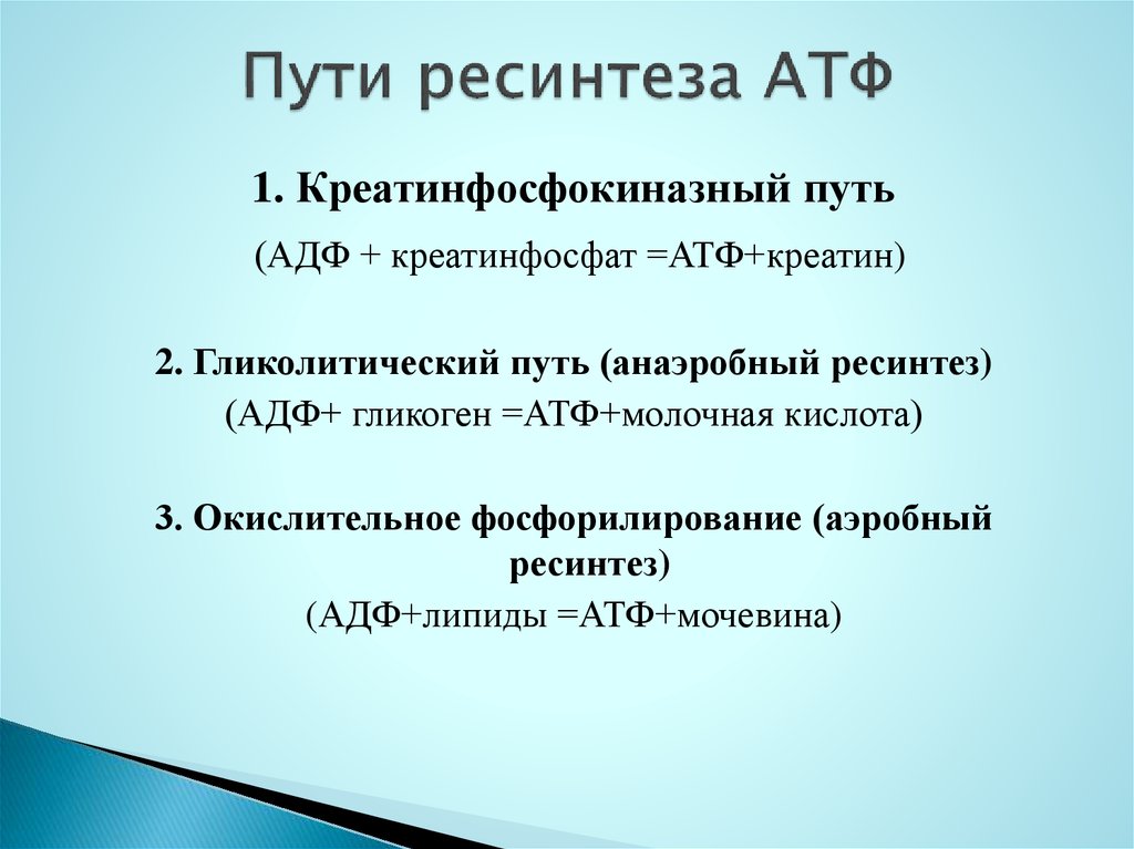 Механизм ресинтеза атф. Схема аэробного механизма ресинтеза АТФ. Аэробный ресинтез АТФ осуществляется при распаде. Пути совершенствования процессов ресинтеза АТФ. Характеристика путей ресинтеза АТФ.