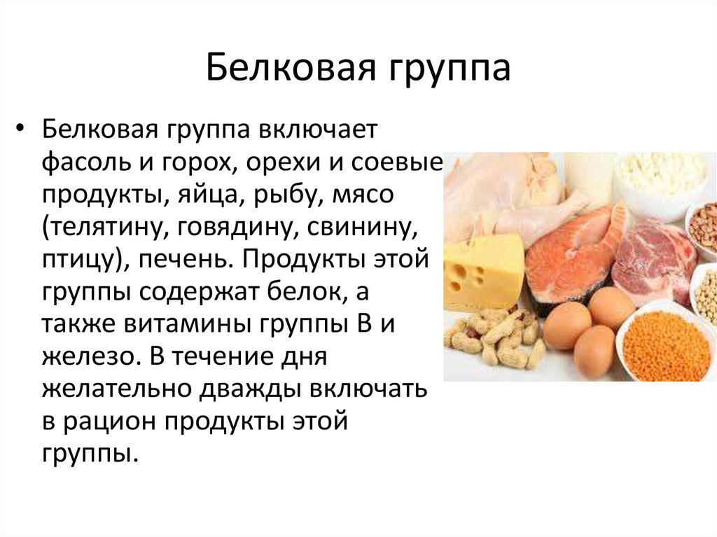 Основное питание белки