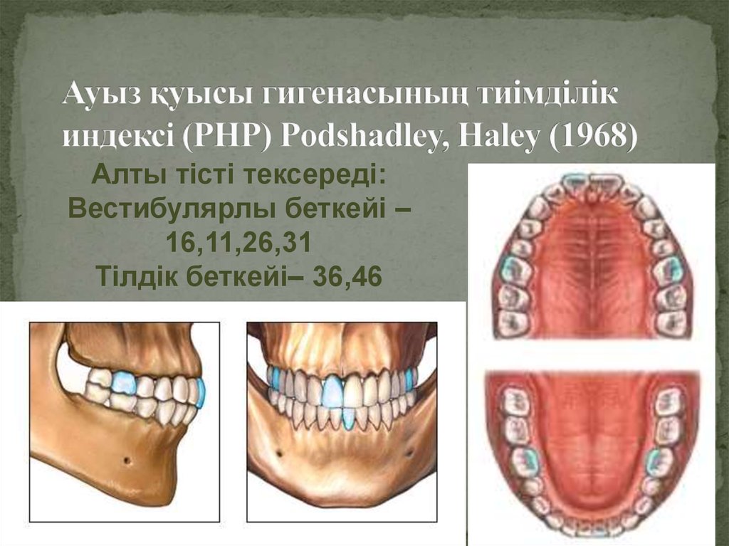 Ауыз алу. Ауыз куысынын гигиенасы картинки.