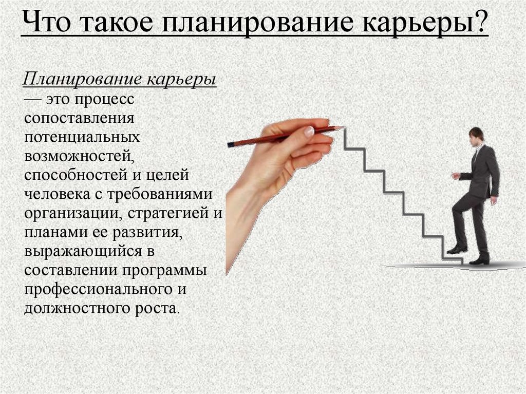 План подготовки к профессиональной карьере экономиста