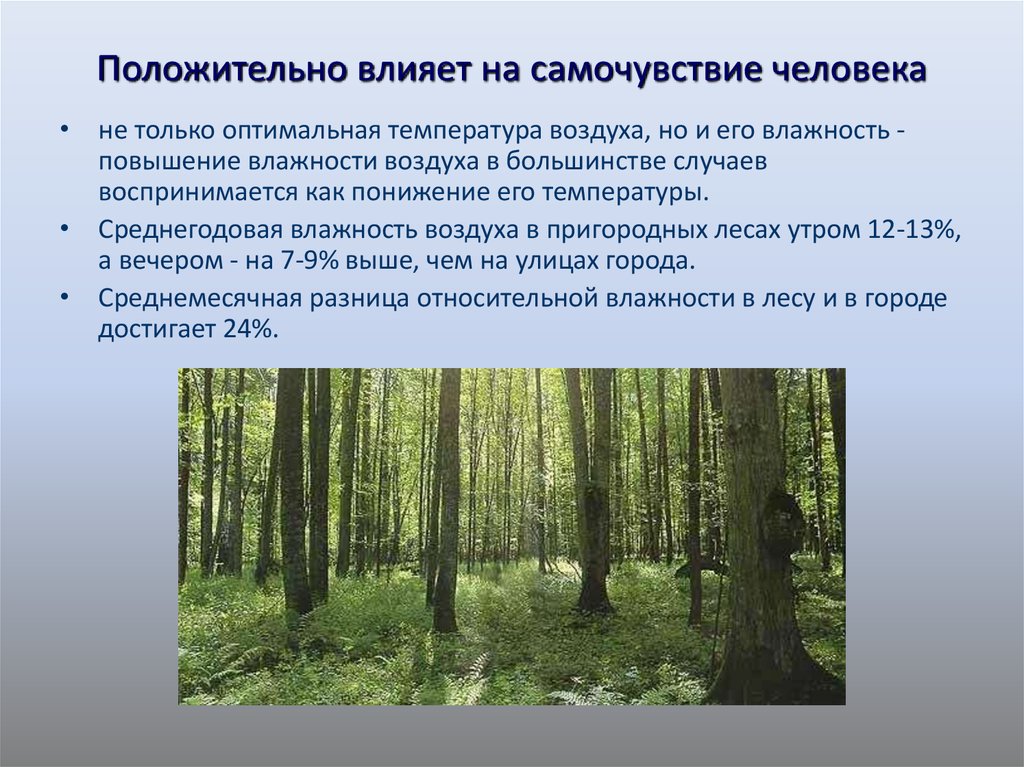 Приведите примеры положительного влияния человека. Влияние леса на здоровье человека. Положительное влияние человека на воздух. Воздействие влажности на человека. Положительное влияние человека на атмосферу.