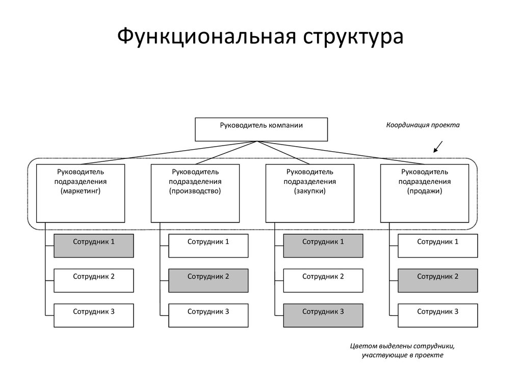 Схема функциональной структуры организации