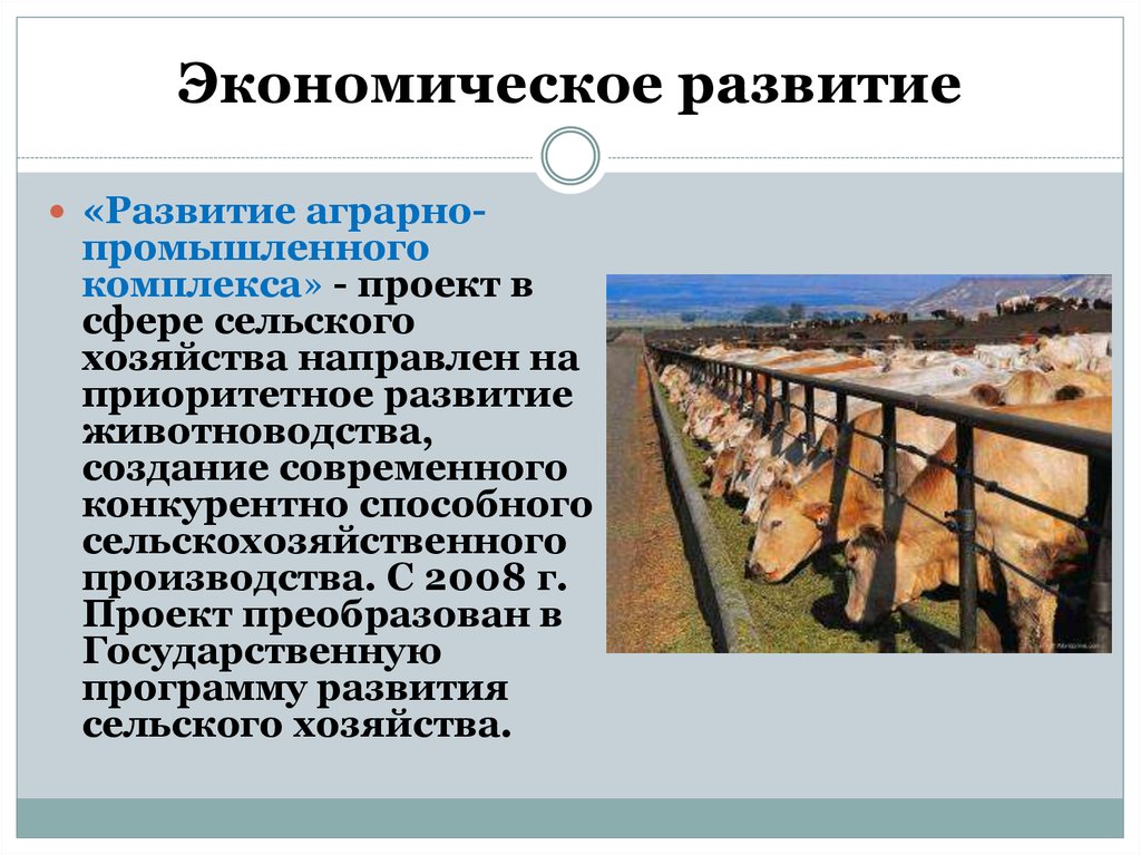 В начале 21 века руководством россии были приняты национальные проекты направленные на