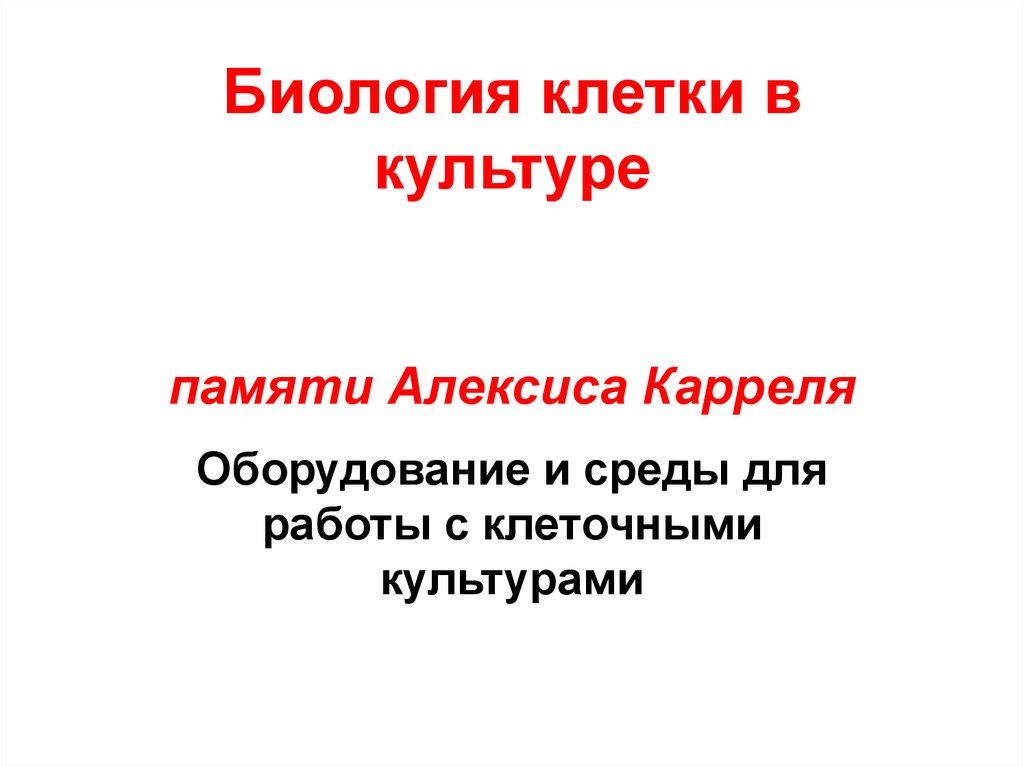 Память культуры. Культура клеток это в биологии. Культура в биологии. Работа с клеточными культурами.