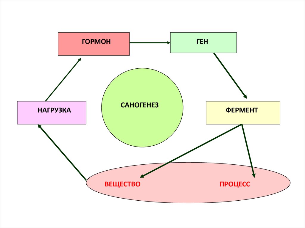 epub nitrification