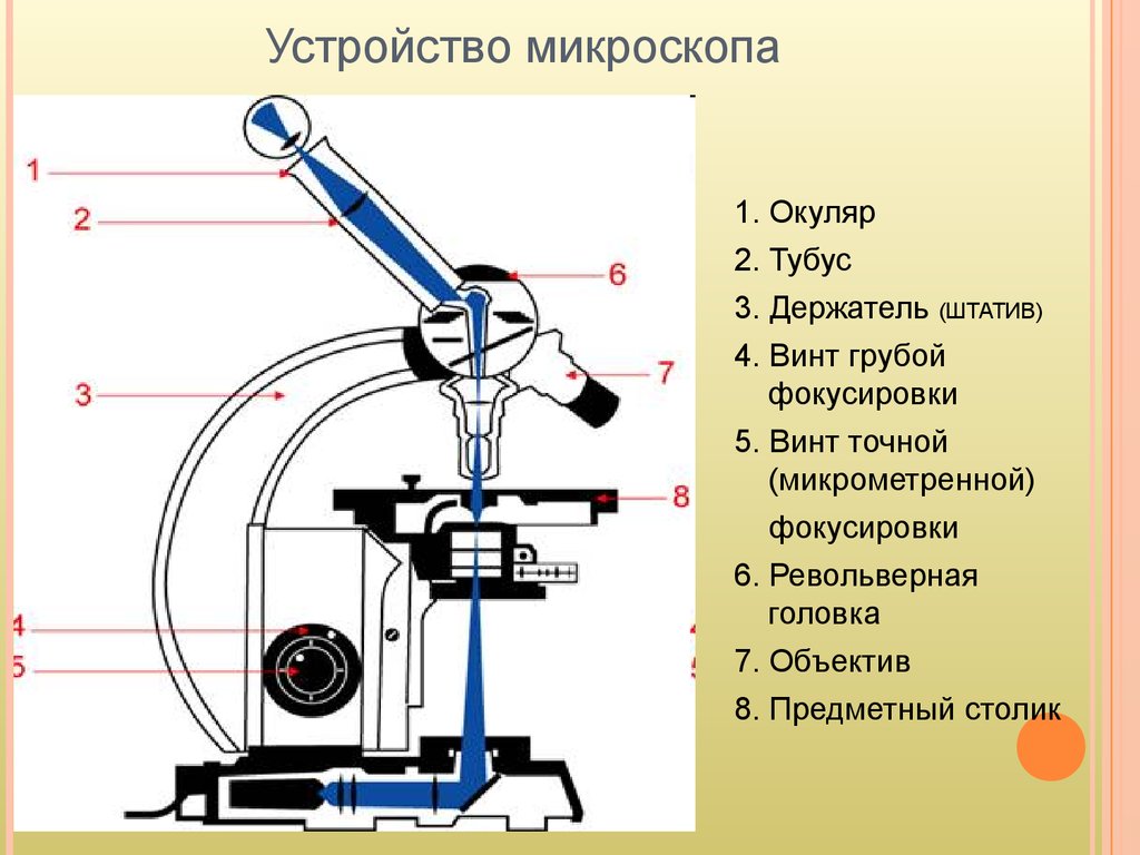 Микроскоп схема. Строение оптического микроскопа схема. Световой микроскоп монокулярный строение. Оптический микроскоп строение. Устройство микроскопа. Оптическая схема микроскопа.