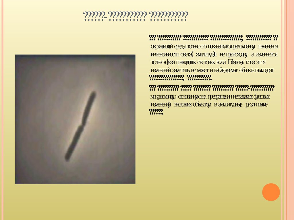 Фазово-контрастная микроскопия