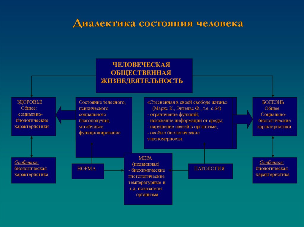 Категории диалектики. Диалектика. Диалектика биологического и социального в человеке. Диалектика биологического, социального и духовного в человеке. Биологические характеристики человека.