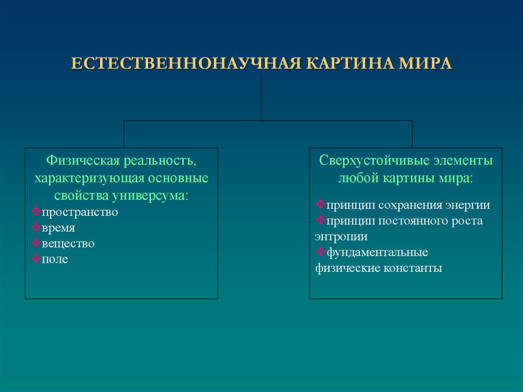 Естественнонаучная картина мира презентация