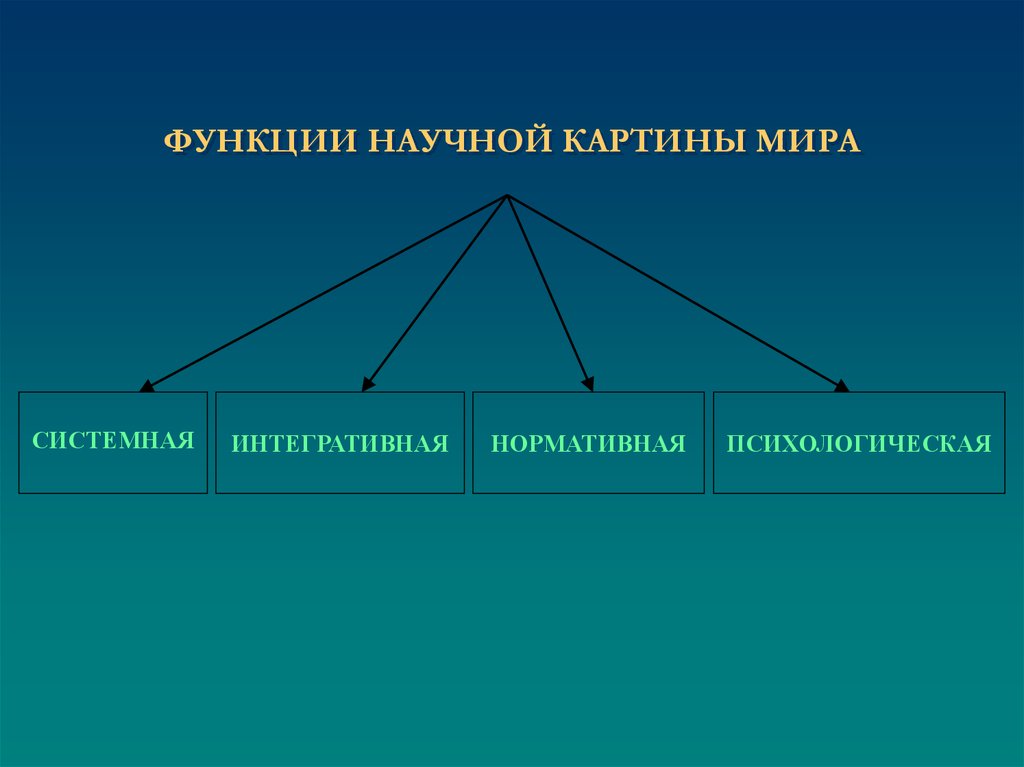 Одна из функций которую выполняет специальная картина мира в процессе научного исследования это