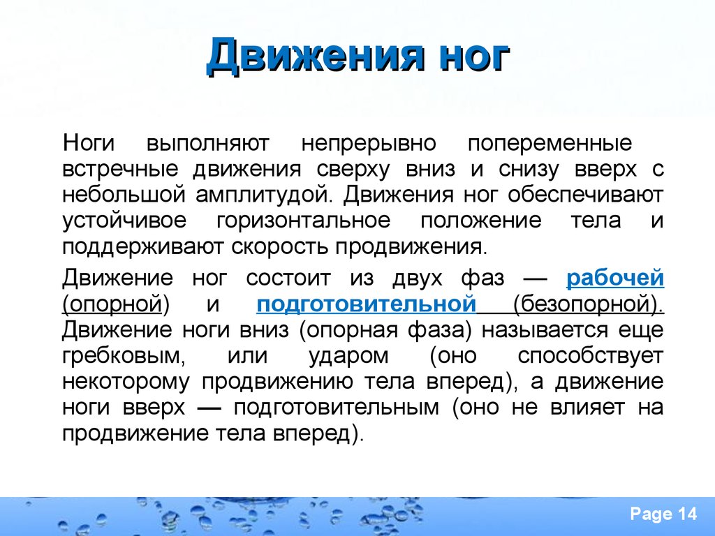 Движение снизу вверх. Движение сверху вниз. Устойчивое горизонтальное положение. Небольшая амплитуда. Движение сверху вниз обязанности.