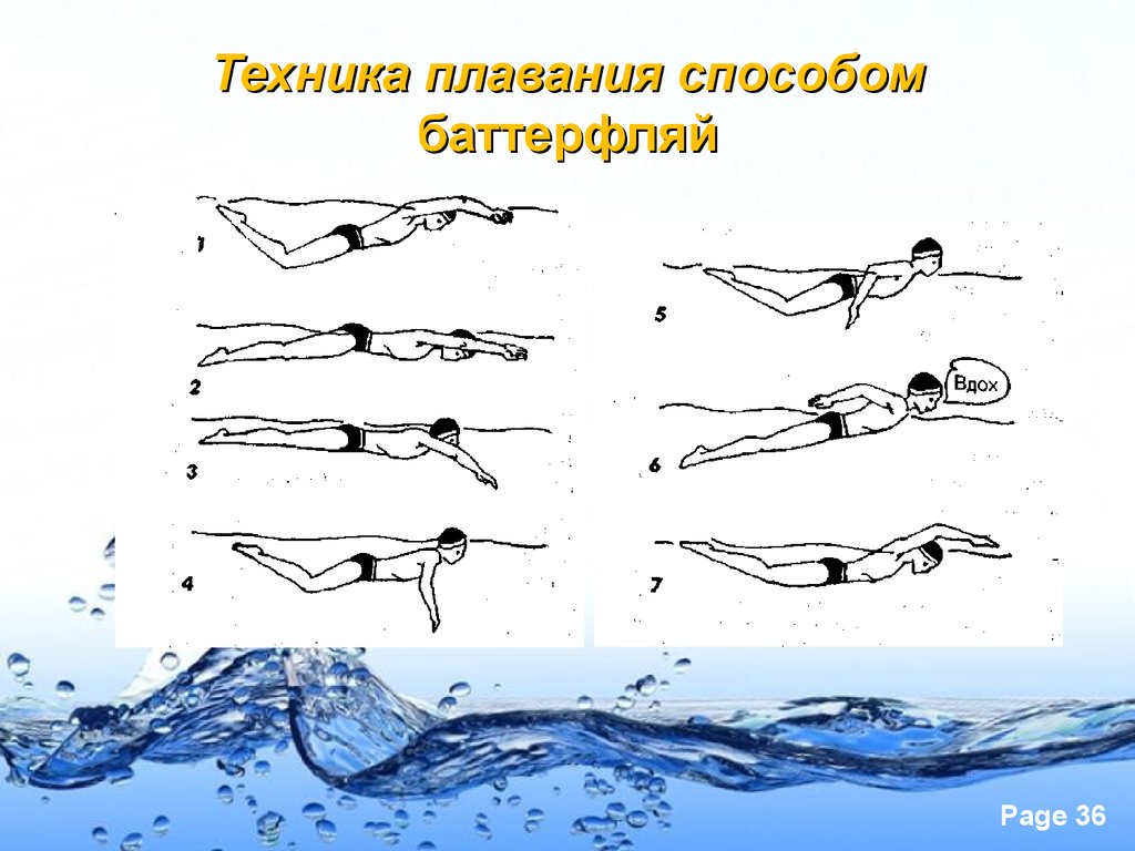 Где можно научиться плавать. Техника плавания: стиль Баттерфляй (Дельфин). Техники плавания брасс Кроль Баттерфляй. Плавание на спине -Баттерфляй - Кроль -брасс. Баттерфляй вид плавание техника.