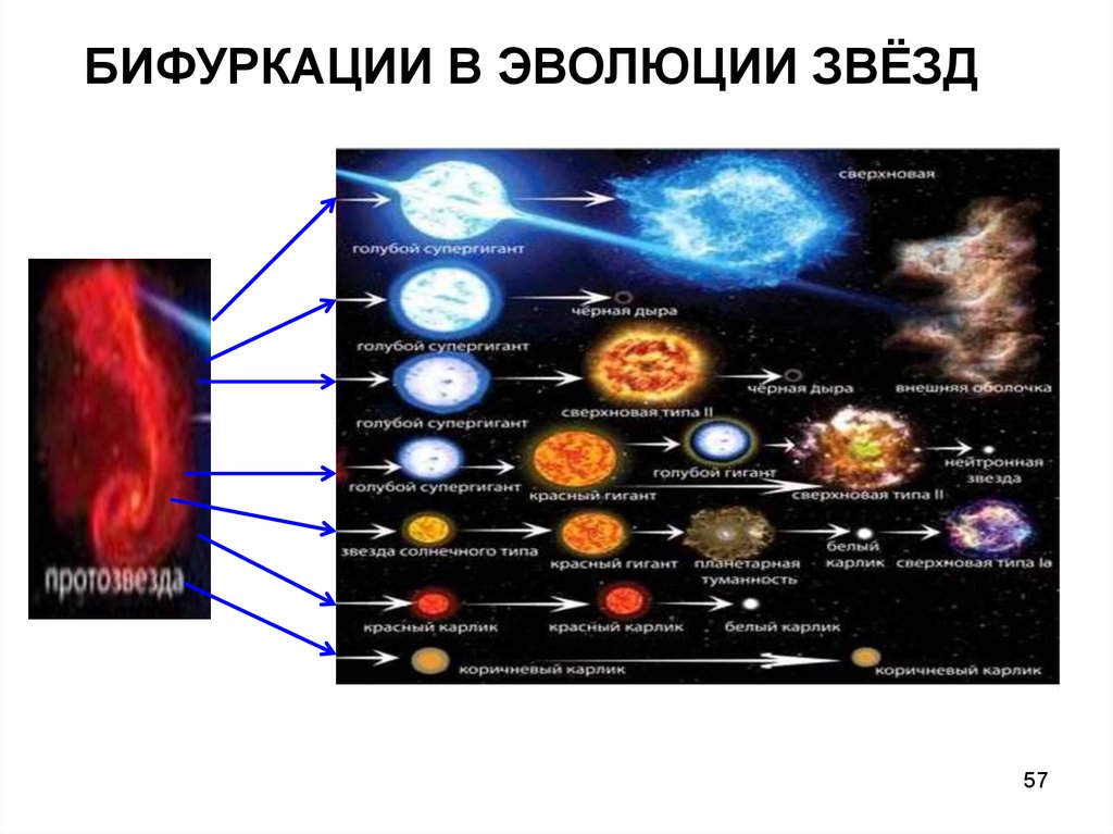 Типы звезд. Бифуркации в эволюции звёзд. Сценарии эволюции звезд. Эволюция звезд солнечного типа. Природа и Эволюция звезд.