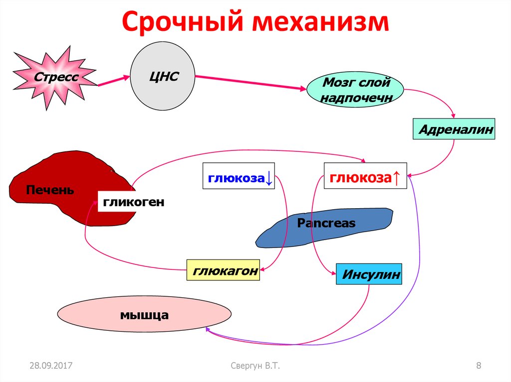 Механизм стресса