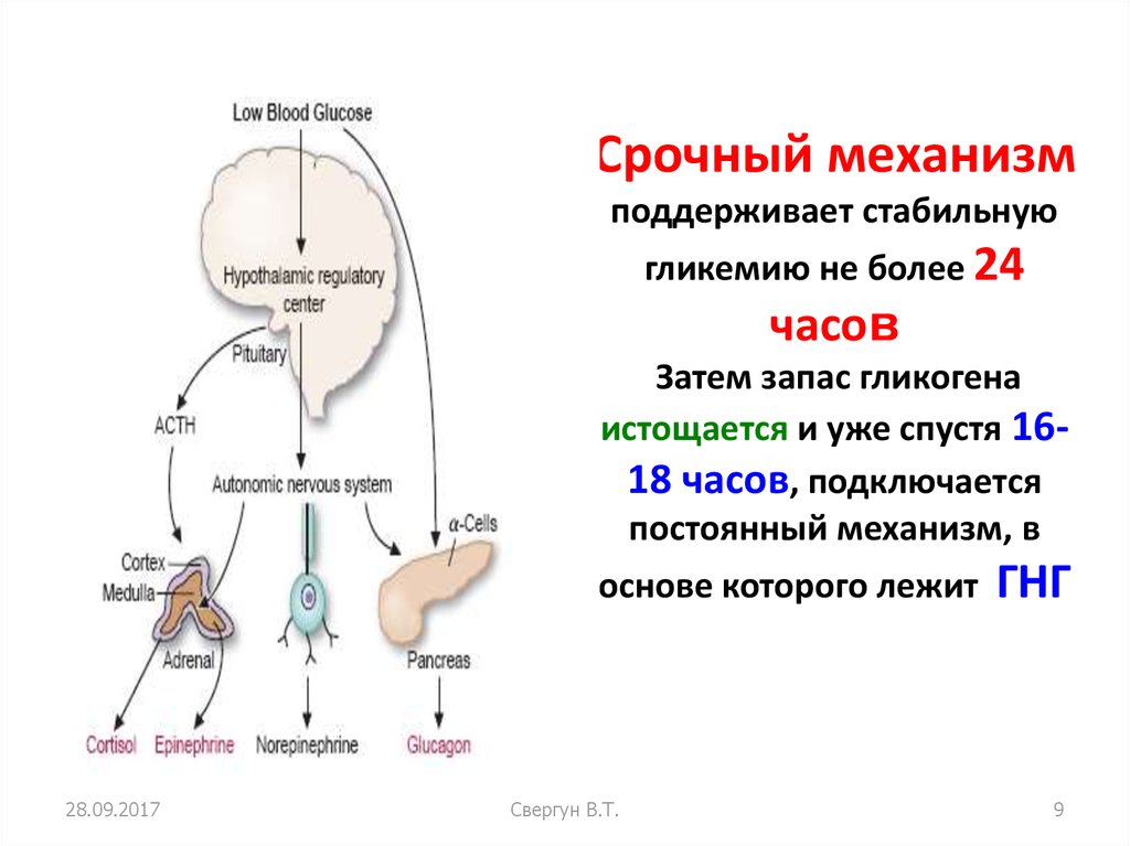 Постоянный механизм