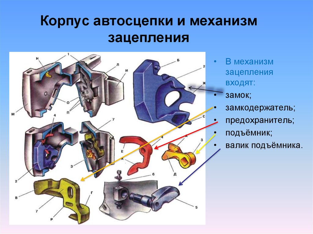 Какие основные части корпуса автосцепки са