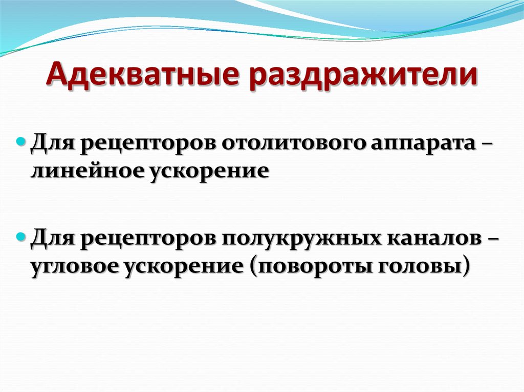 Адекватным раздражителем является