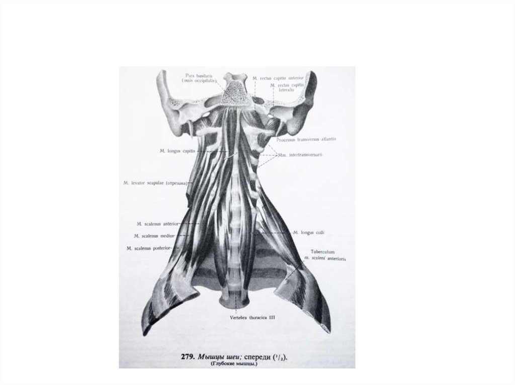 ebook the hormones physiology chemistry and applications 1948