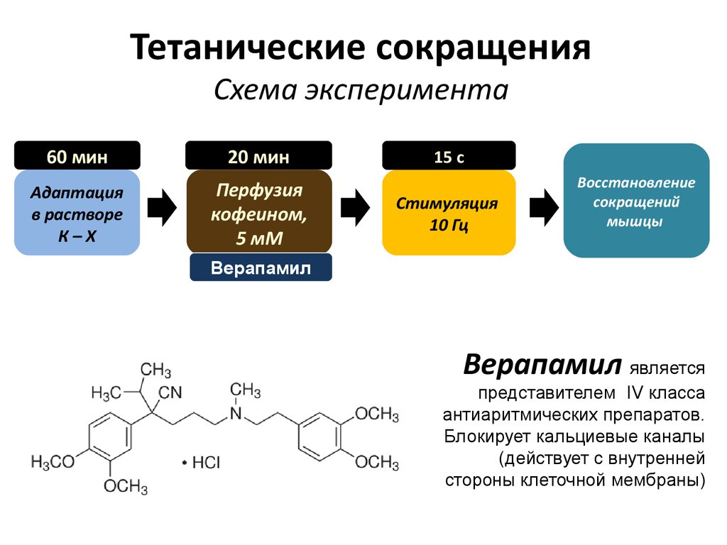 Насыщающая схема амиодарон