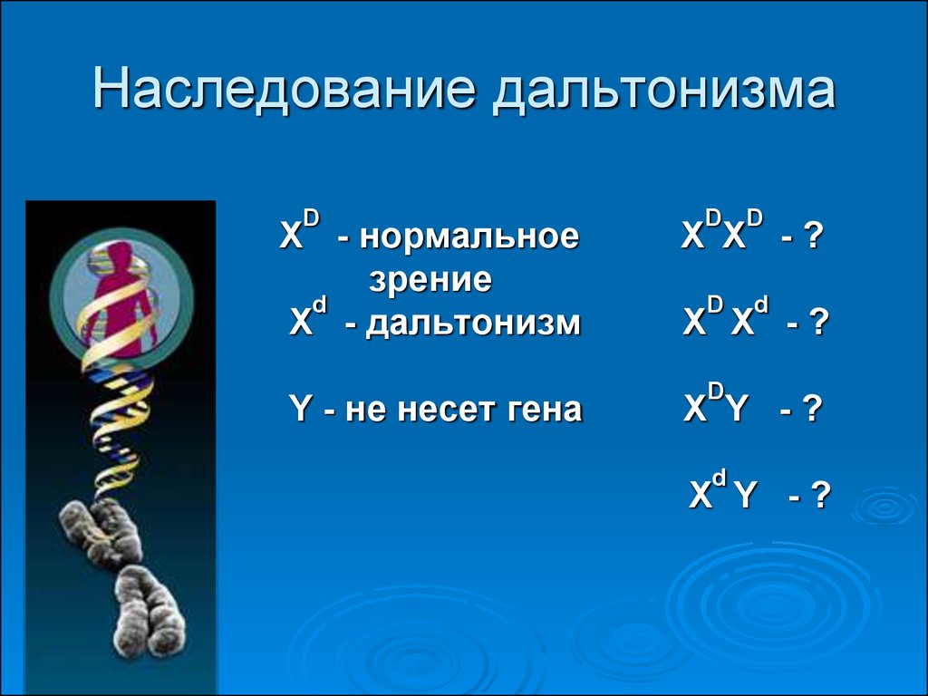 Х нормальные. Наследование Гена дальтонизма. Наследование далтонизм. Дальтонизм наследуется. Генетика пола презентация.