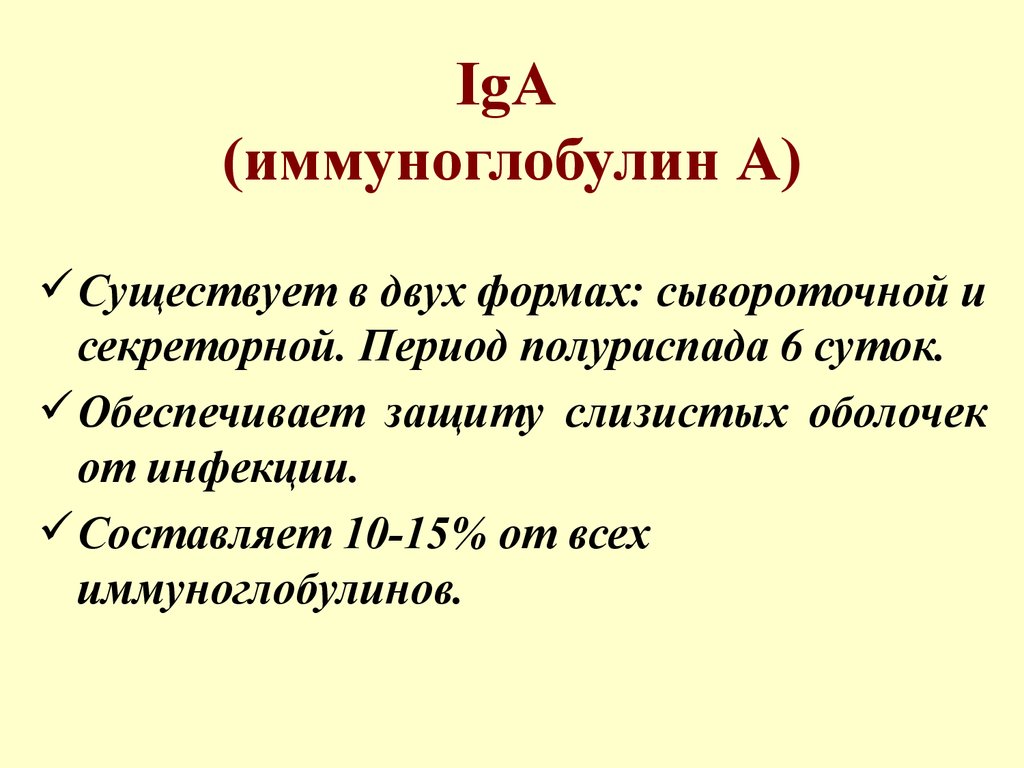 IgA (иммуноглобулин А)