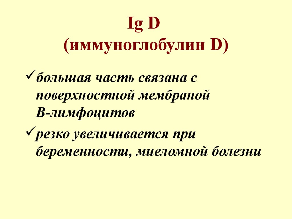 Ig D (иммуноглобулин D)