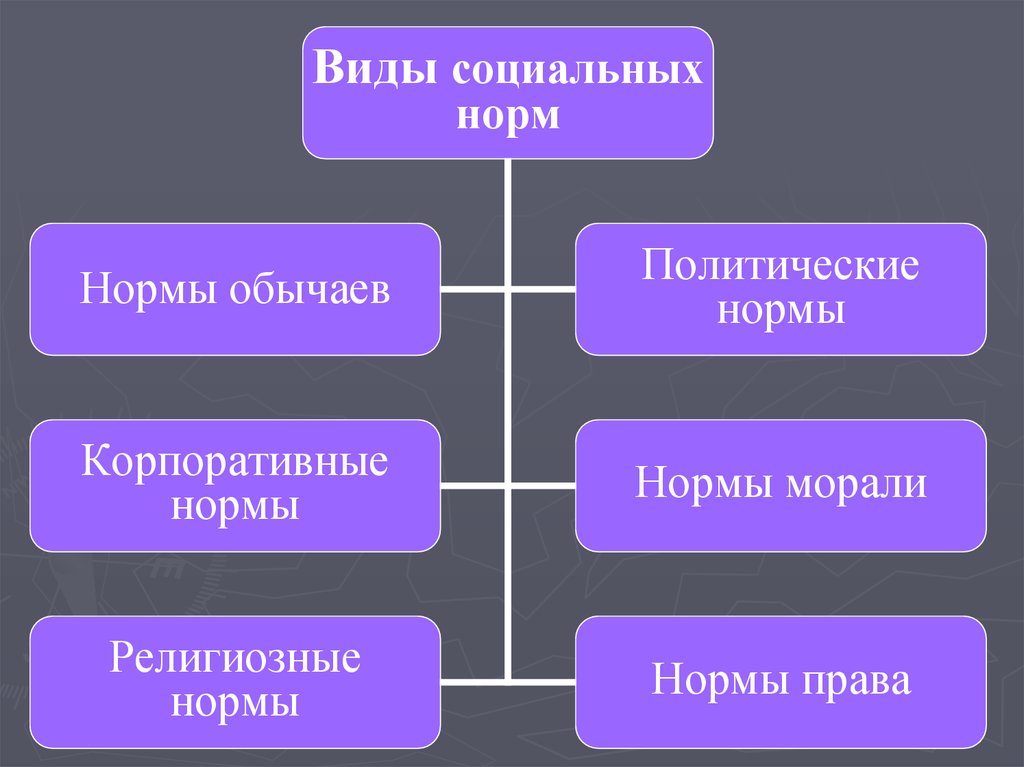 Функция социального регулирования. Виды социальных норм политические. Формы социальных норм. Социальные нормы включают в себя. Типы социальных норм корпоративные.