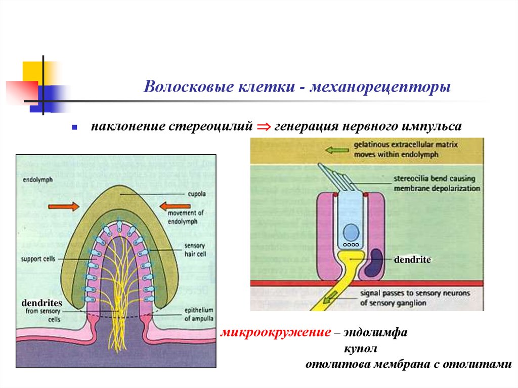 Импульсы бывают