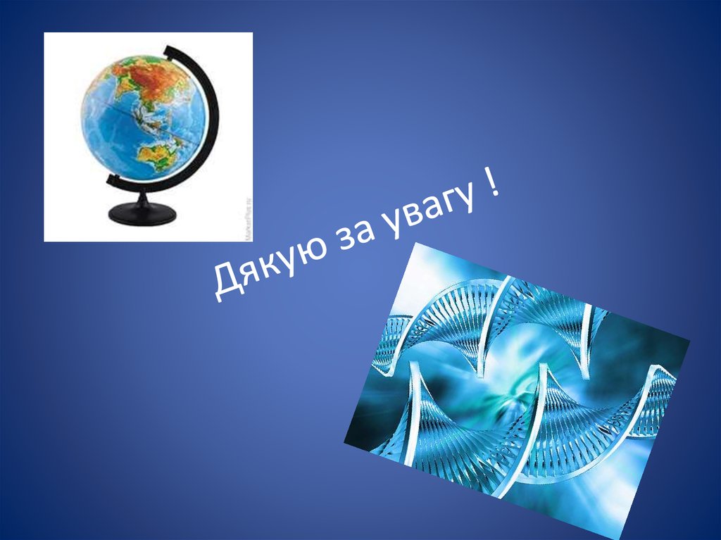 Дякую за увагу !