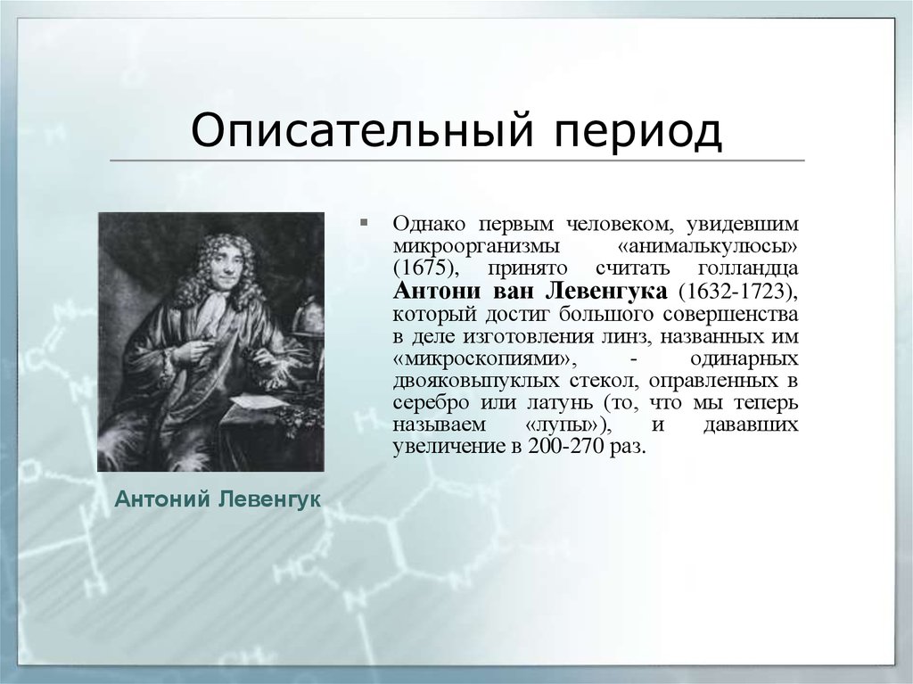 Первым человеком увидевшим. Ван Левенгук вклад в микробиологию. Антони Ван Левенгук вклад в микробиологию. Левенгук вклад в микробиологию кратко. Ван Левенгук вклад в микробиологию по Латам.