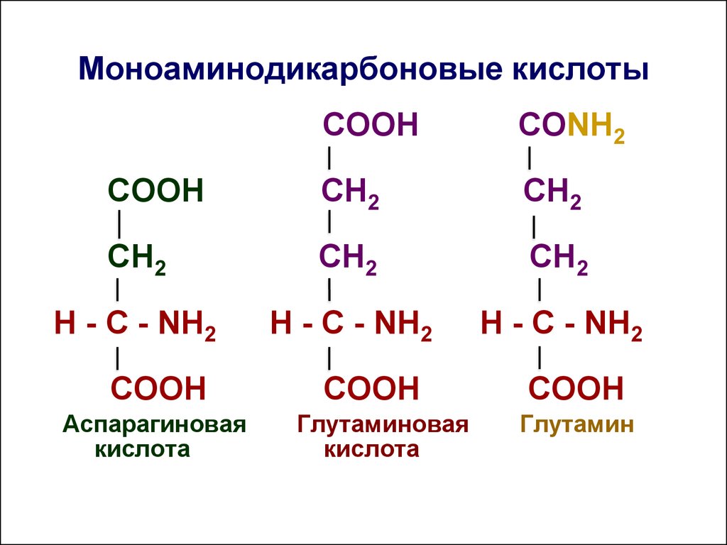 Моноаминодикарбоновые кислоты
