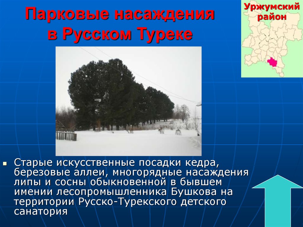 Кировская область 4 класс. Памятники природы Кировской области. Памятники природы Кировской обл. Природа Кировской области презентация. Сообщение о памятнике природы Кировской области.