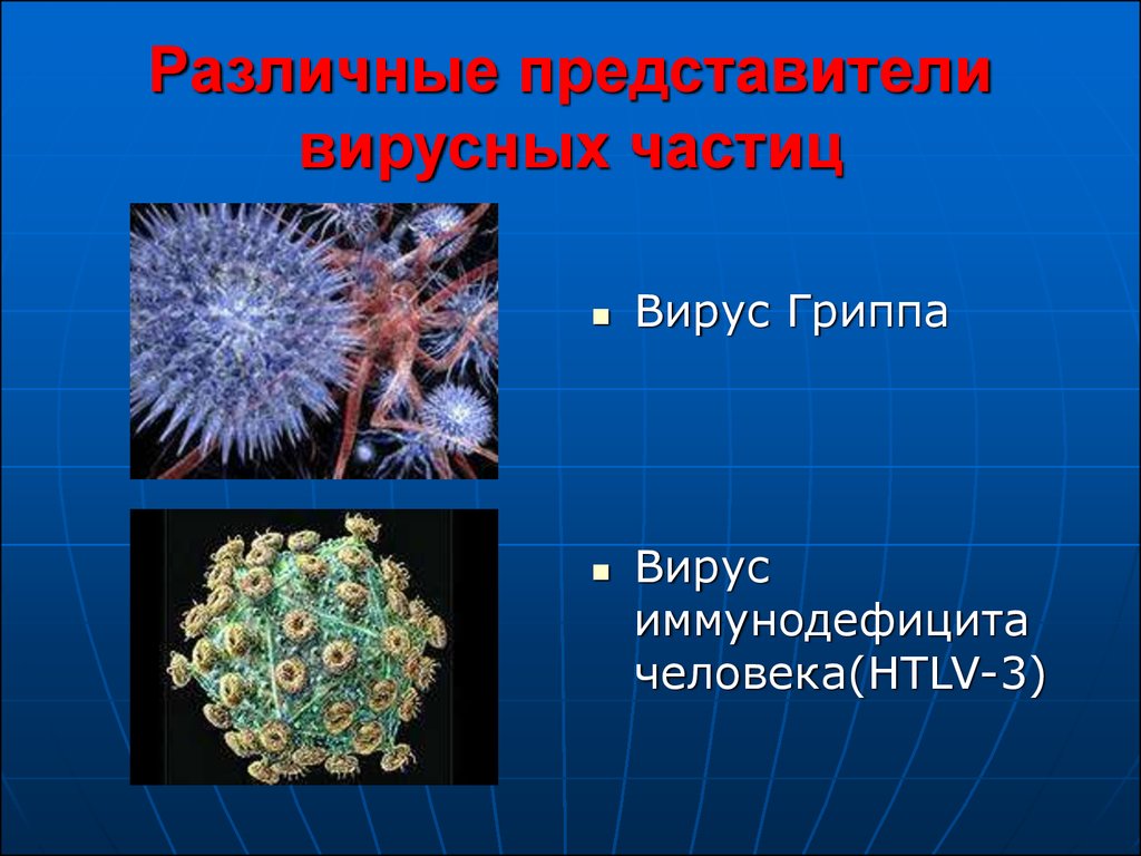 Вирусы в жизни человека презентация