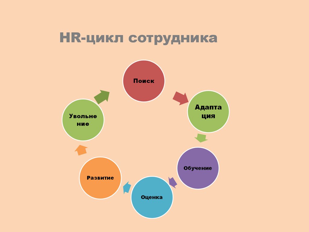 Жизненный цикл профессии. Жизненный цикл работы сотрудника в компании. Правильную последовательность этапов HR-цикла. Жизненный цикл HR. Цикл развития персонала.