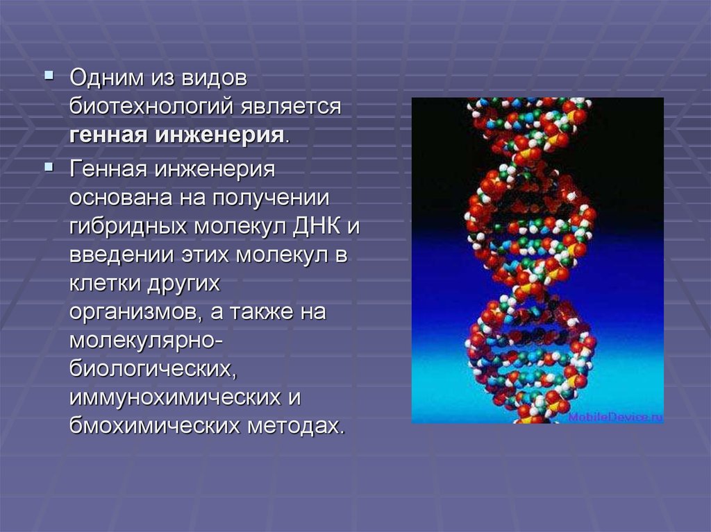 Генная инженерия презентация это