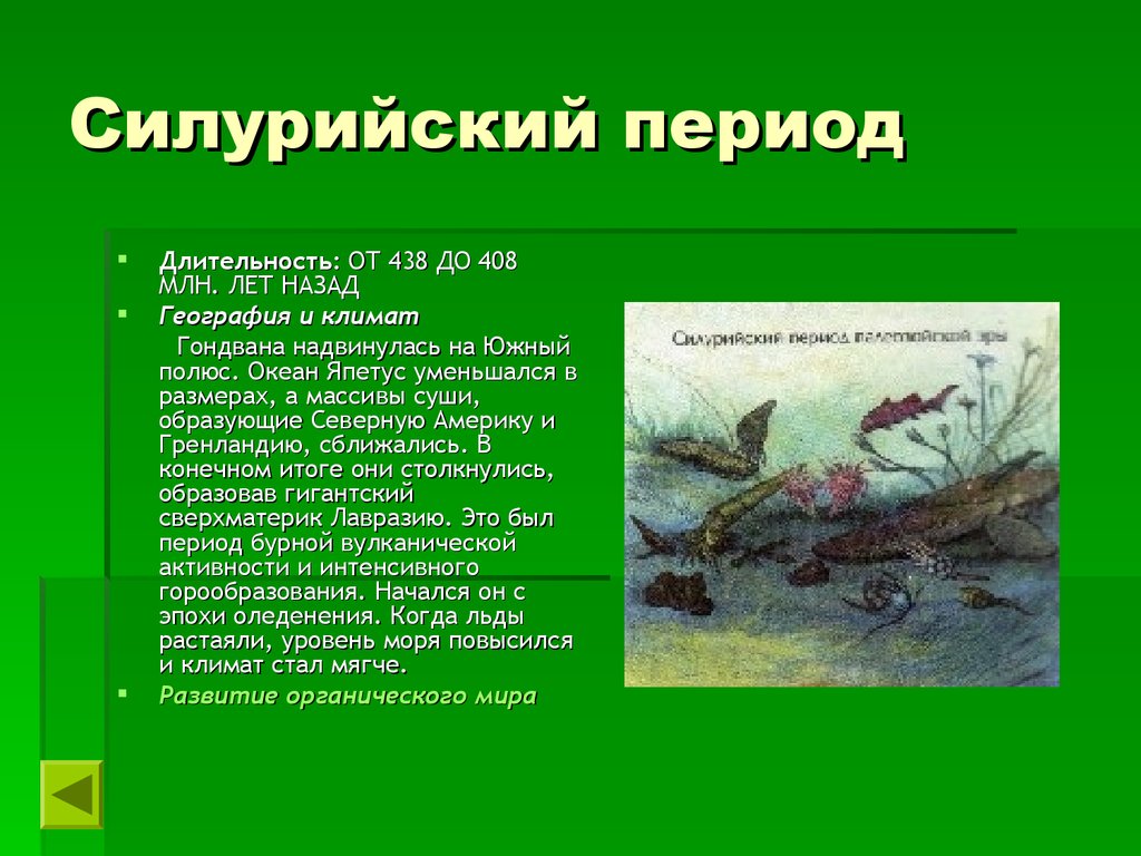 Периодов длившихся. Силурийский период животный мир таблица. Силур растительный мир. Силурийский период кратко. Силурийский период растения и животные.